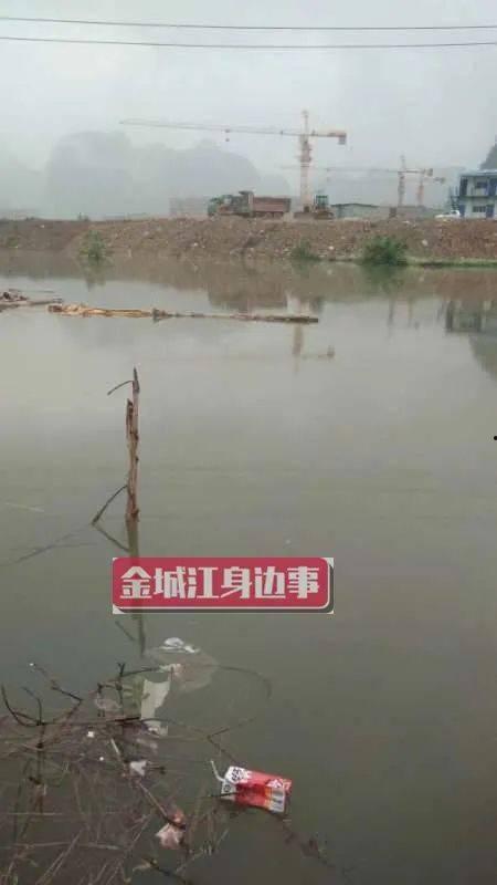 河池市网友爆料案件最新,最新案件细节曝光,真相令人震惊! 第2张 河池市网友爆料案件最新,最新案件细节曝光,真相令人震惊! 第2张