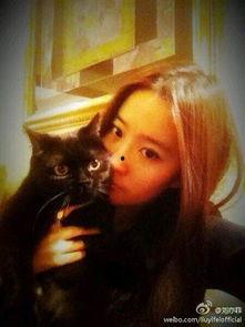 娱乐圈爆料猫不理,猫不理背后的惊人真相! 第1张 娱乐圈爆料猫不理,猫不理背后的惊人真相! 第1张